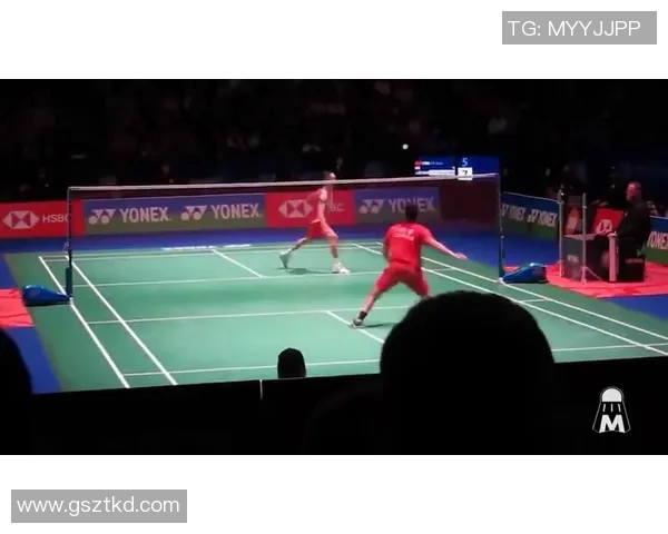 羽毛球顶级赛事回顾与未来展望 羽毛球顶级赛事回顾与未来展望